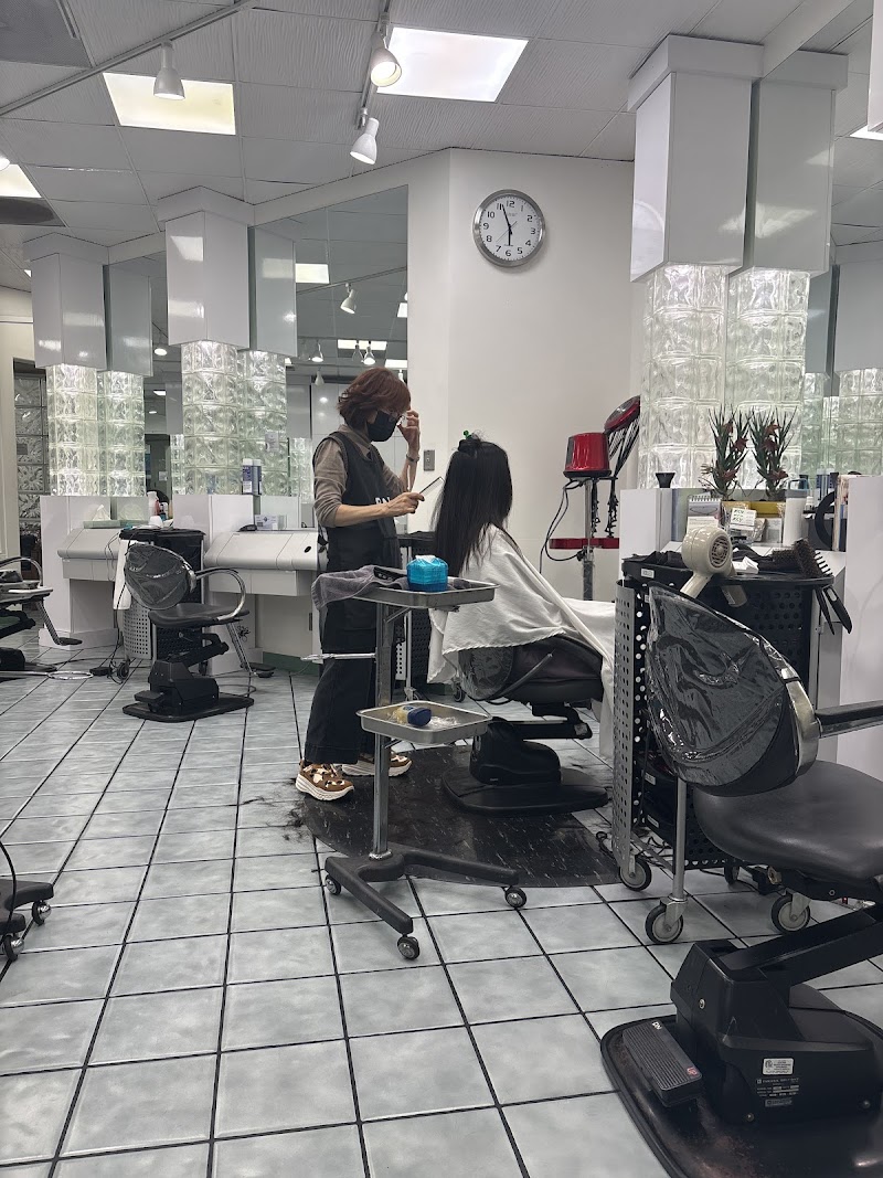 KSY Kim Sun Young Hair & Beauty Salon LA