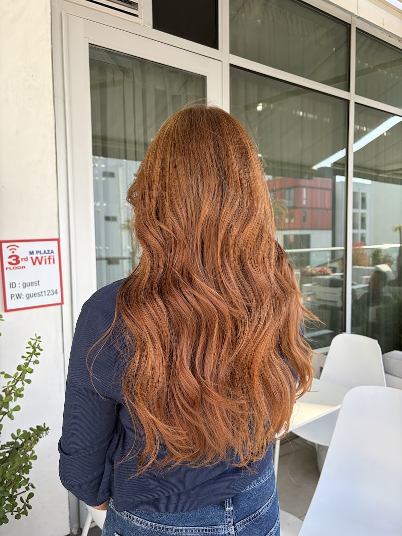 Theodora Hair Studio Olympic